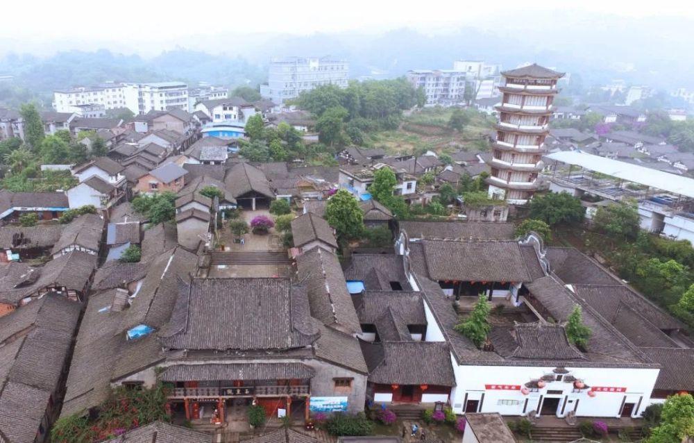 动物帮帮忙保卫家园